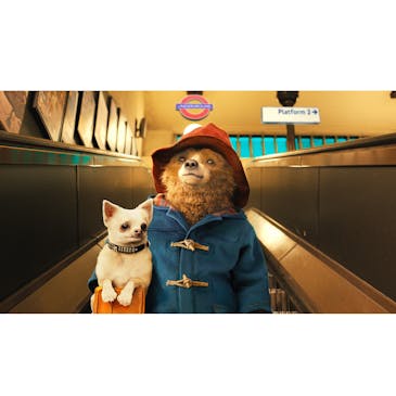 パディントンのビジュアル