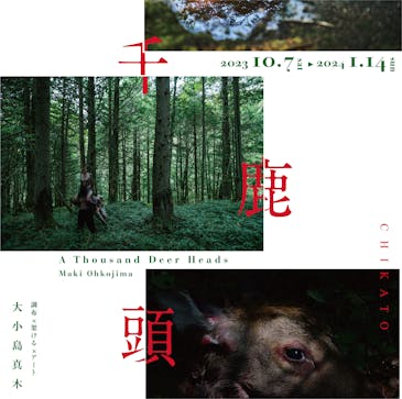 HP用正方形.png?auto=compress,