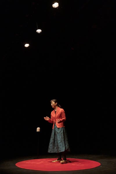 『いつか来る、わたしの埋葬のためのレクチャー』舞台写真01