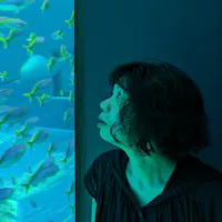 アサッテの人_トーク_河野聡子 プロフィール写真