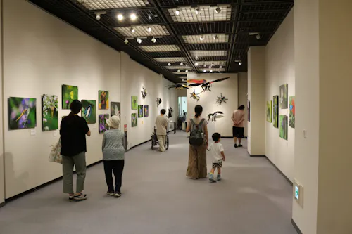 たづくり1階展示室の中の写真